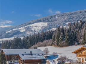 Premium Apartment Almrausch Hollersbach Im Pinzgau